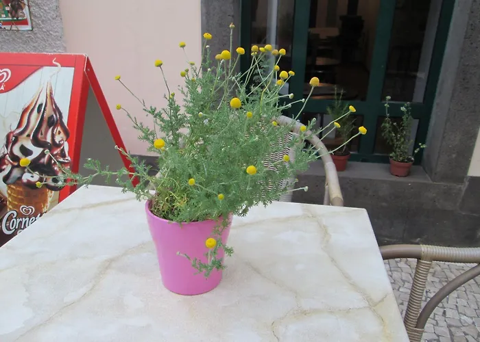 Amparo Machico (Madeira)